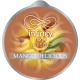 MANGO DELICIOUS wkład zapachowy do Infinity Home